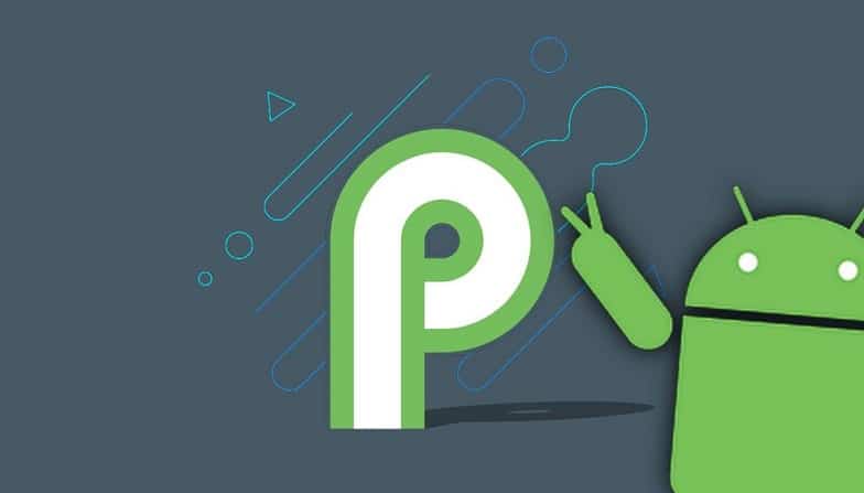 android p bfdaf35a8877af8036d21a