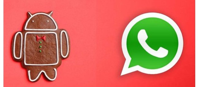 WhatsApp Android Gingerbread