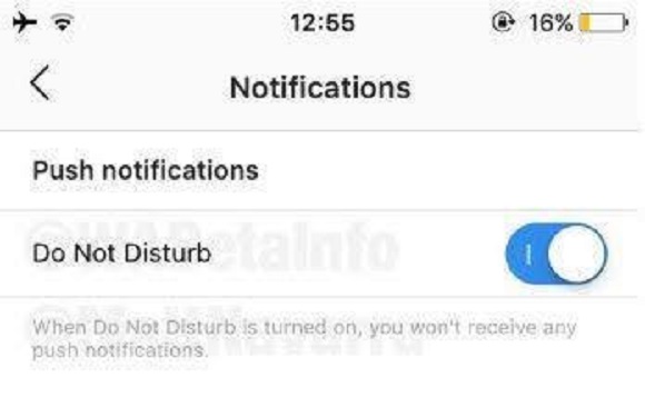 WhatsApp'a büyük yenilikler