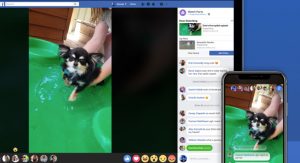 Facebook Watch Party