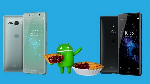 Sony Android Pie