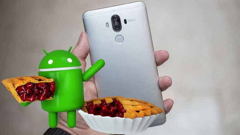 Mate 9 Android 9 Pie