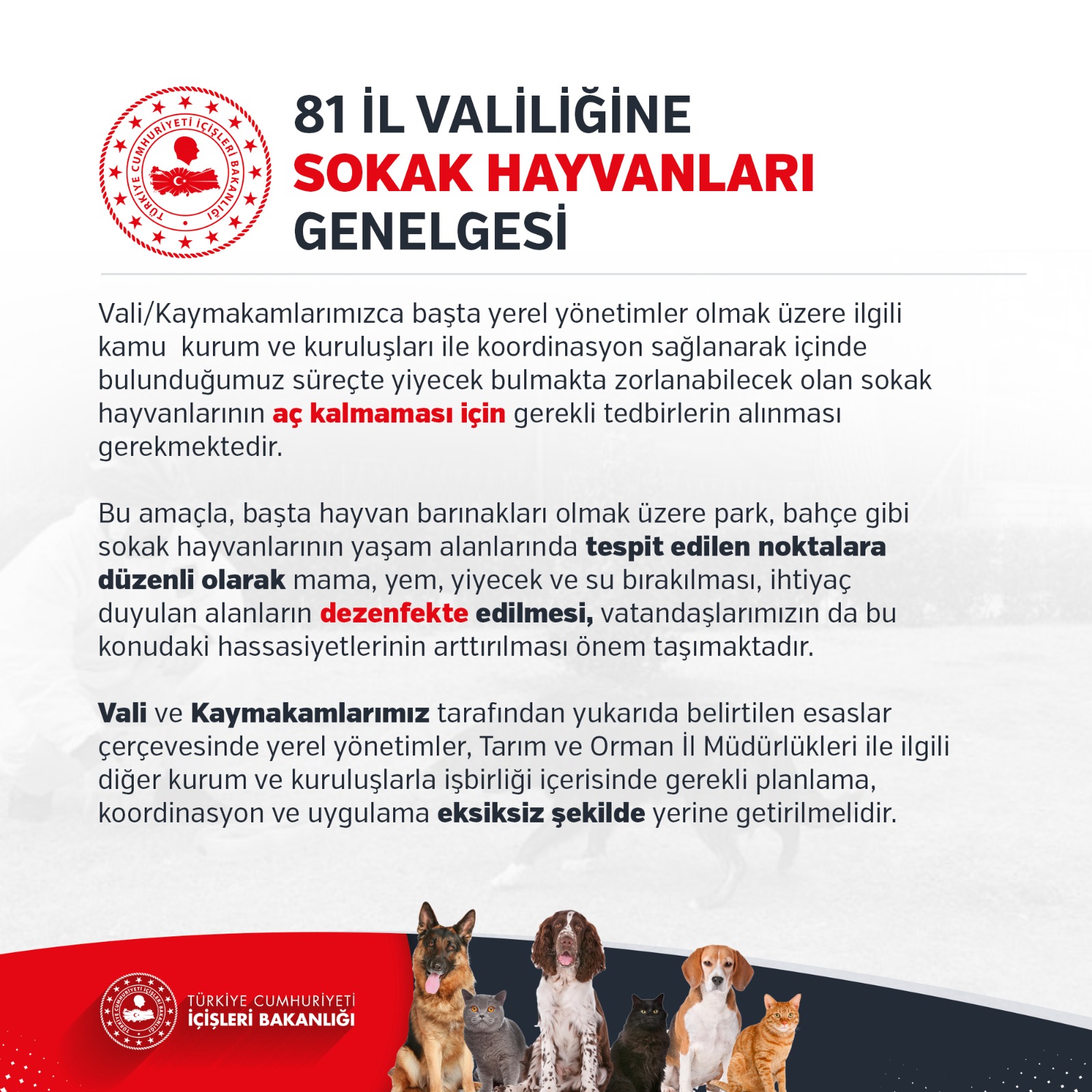 Sokak Hayvanlari Genelgesi