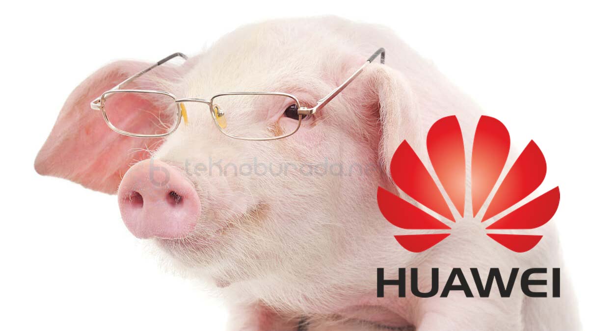 Huawei Domuz