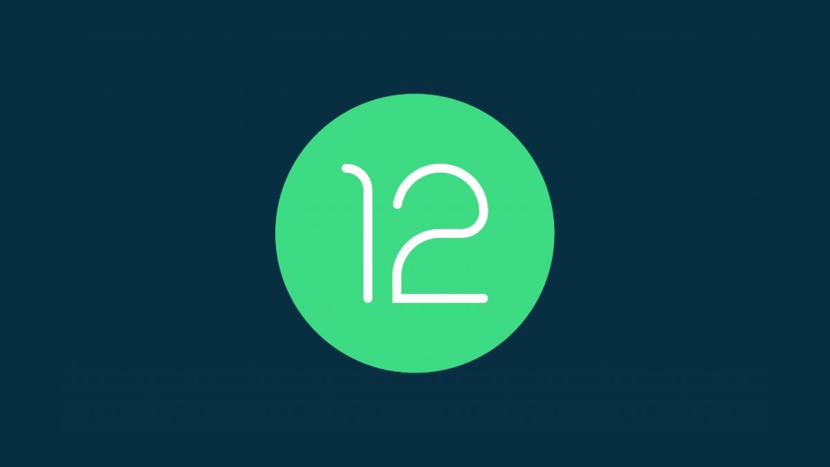 Android 12 Developer Preview 1.1