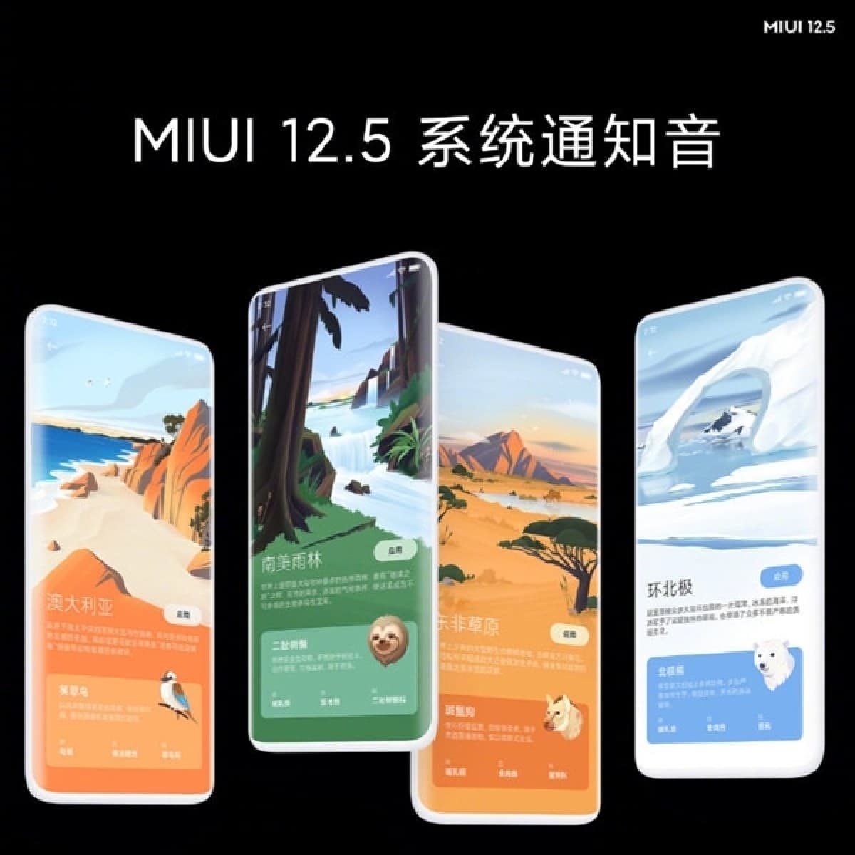 MIUI 12.5 Güncellemesi