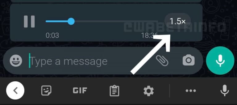 WhatsApp Oynatma Hızı