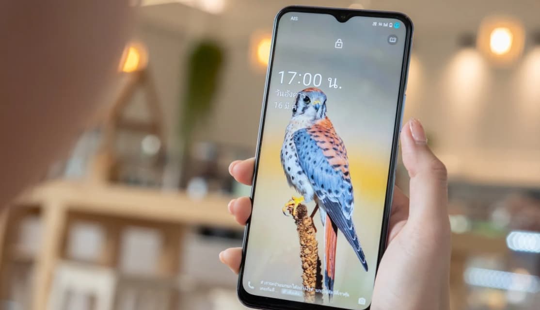 Vivo Y73