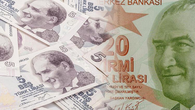 Yeni 20 TL ve 5 TL Banknotlar