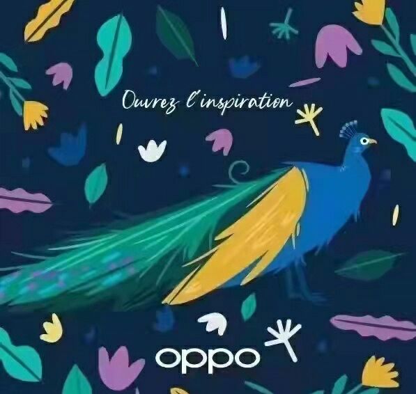 OPPO Katlanabilir Telefon