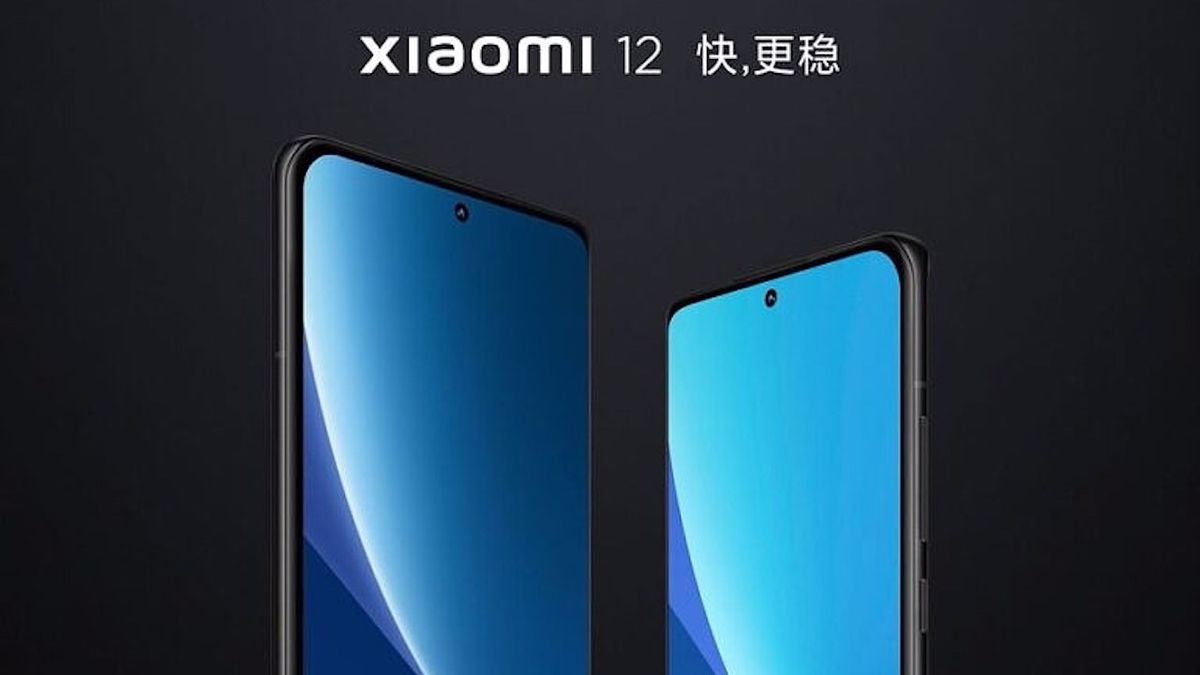 Xiaomi 12 Pro