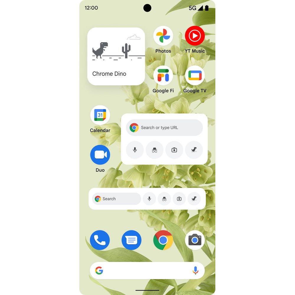 Google Chrome