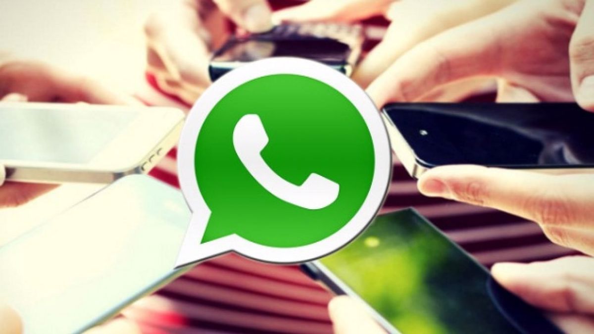 WhatsApp Grup Katılımcı