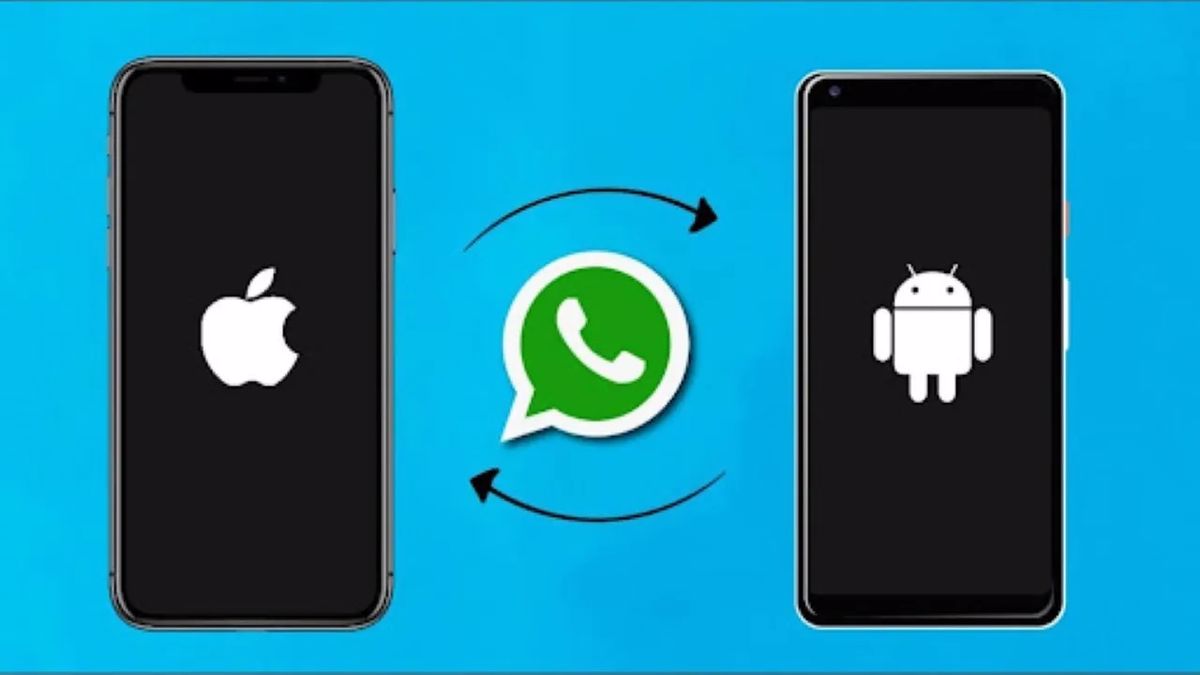 WhatsApp Android verileri
