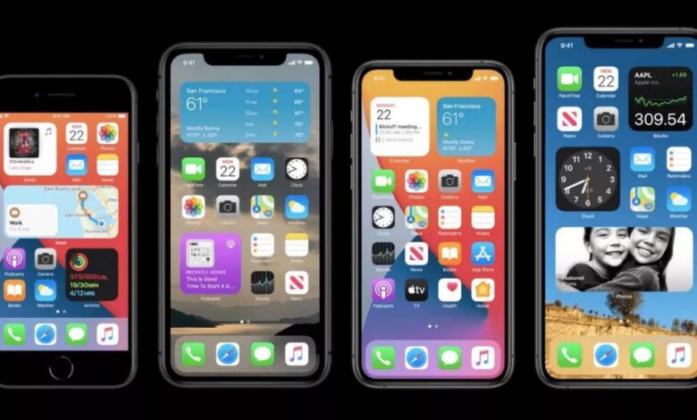 iPhone OS