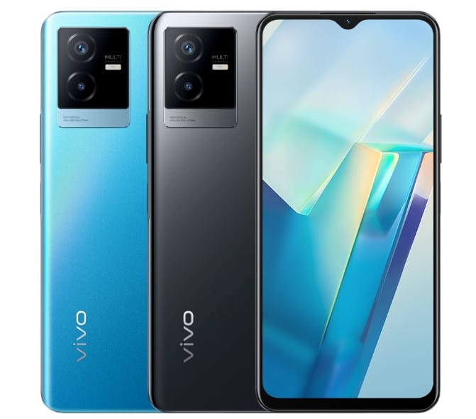 Vivo-3.jpeg