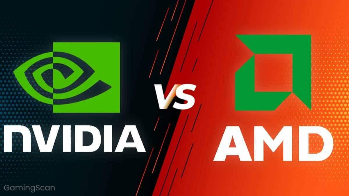 NVIDIA AMD