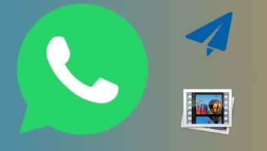 WhatsApp video paylaşımı