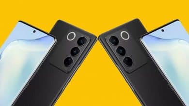 Vivo V30 ve V30 Pro