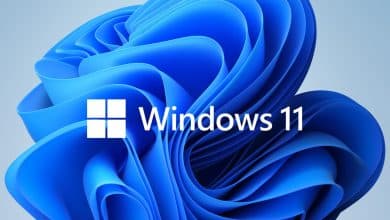 Windows 11 Sürümüne