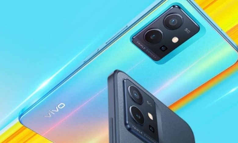 vivo