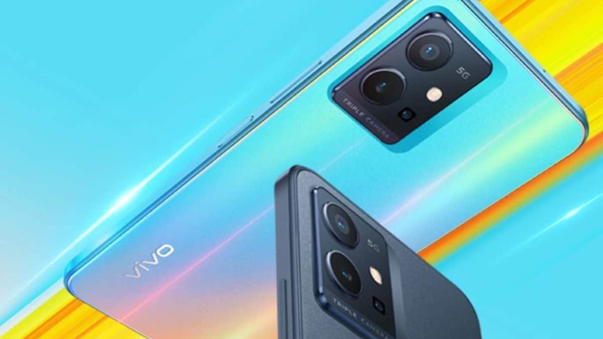 vivo