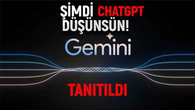Google Gemini