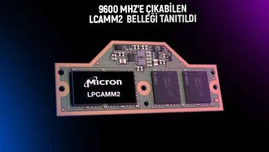 Micron LCAMM2