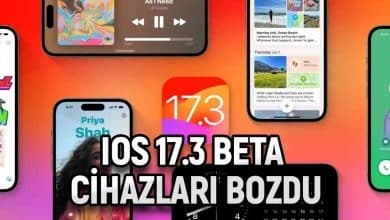 iOS 17.3