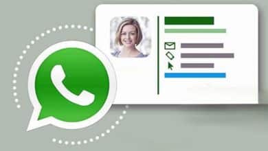 WhatsApp favori