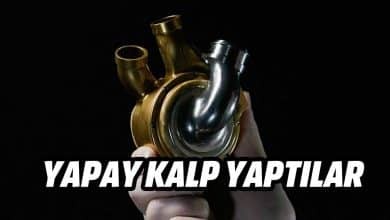Yapay Kalp