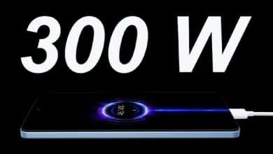 realme 300W