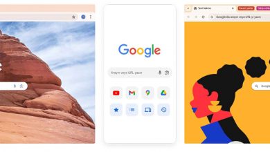 Google Chrome özellikler