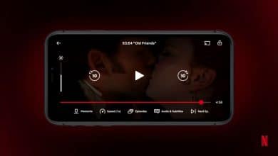 Netflix anlar