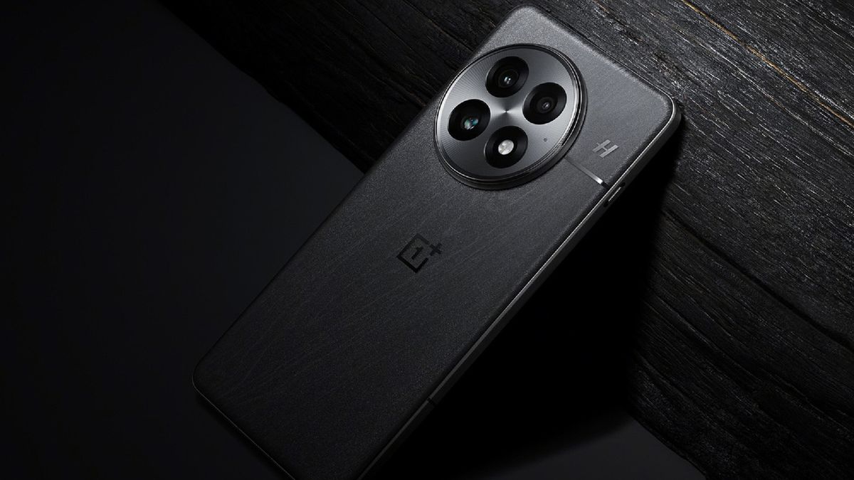 OnePlus 13