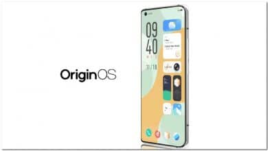 OriginOS Global