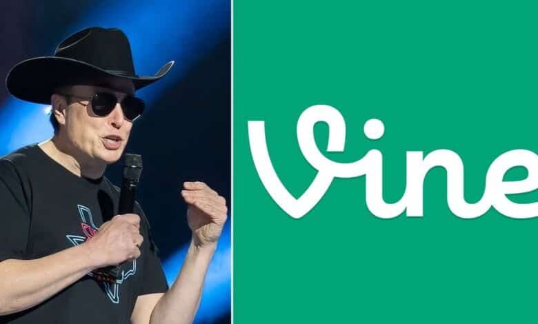 Vine