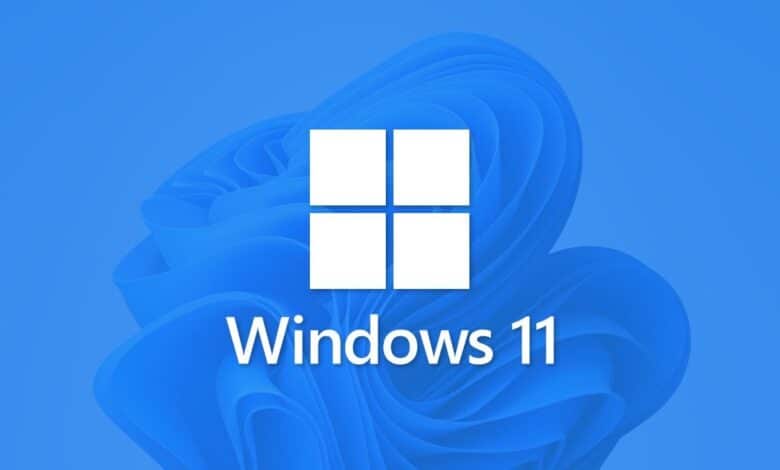 Windows 11