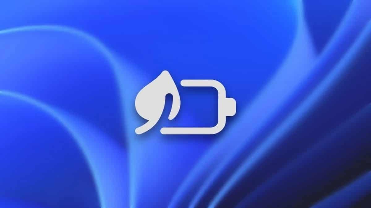 Windows 11