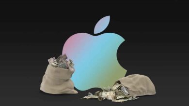 apple 2025 kazanç raporu