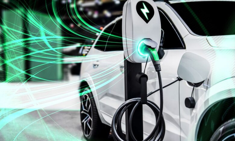 2025 Elektrikli Araç Satışları