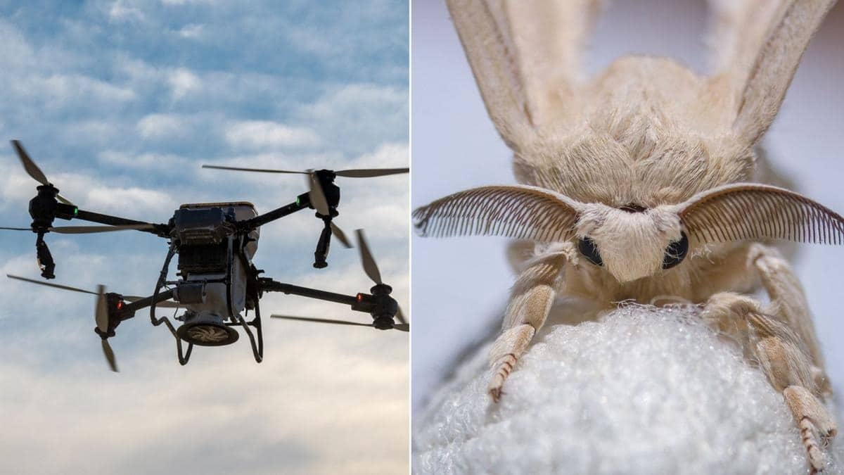 Dronelar Artık Koklayarak İz Sürecek