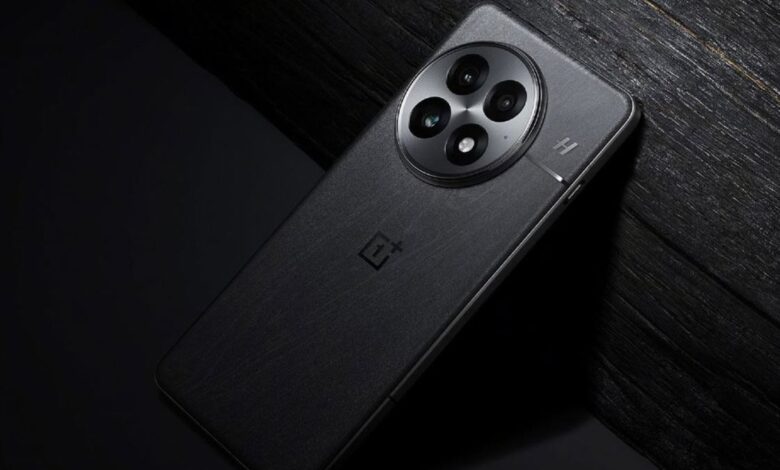 OnePlus 13 fiyatı