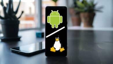 Google Pixel Linux