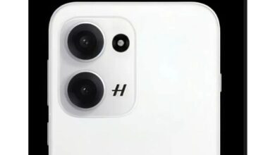 OnePlus 13 Mini