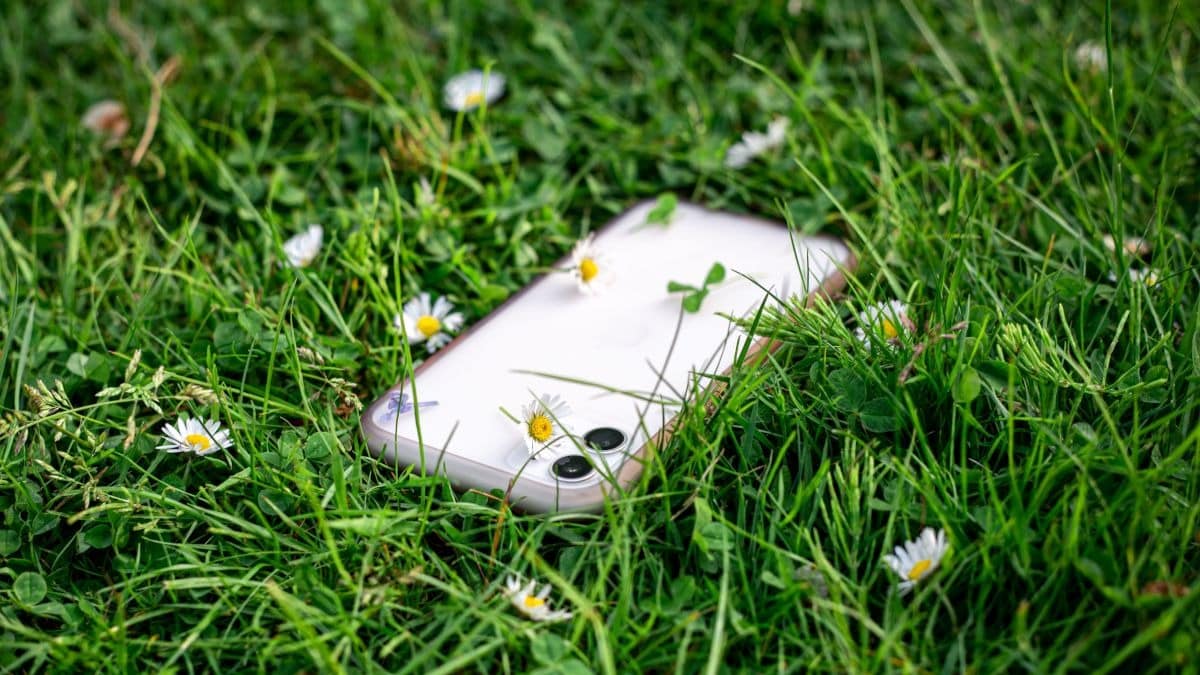 Touch Grass