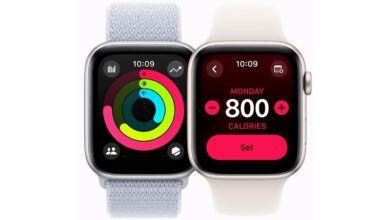 Watch SE