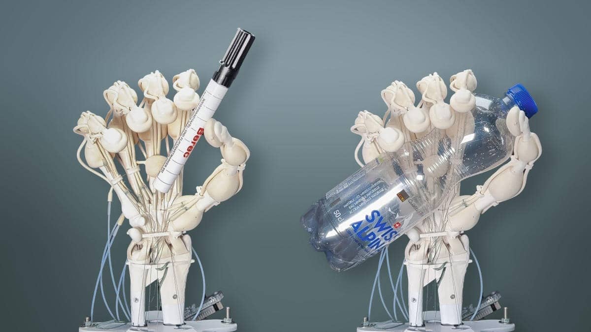 İnsan Kas Hücreleriyle Çalışan Robotik El Tanıtıldı
