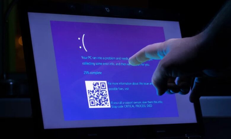 Windows 11