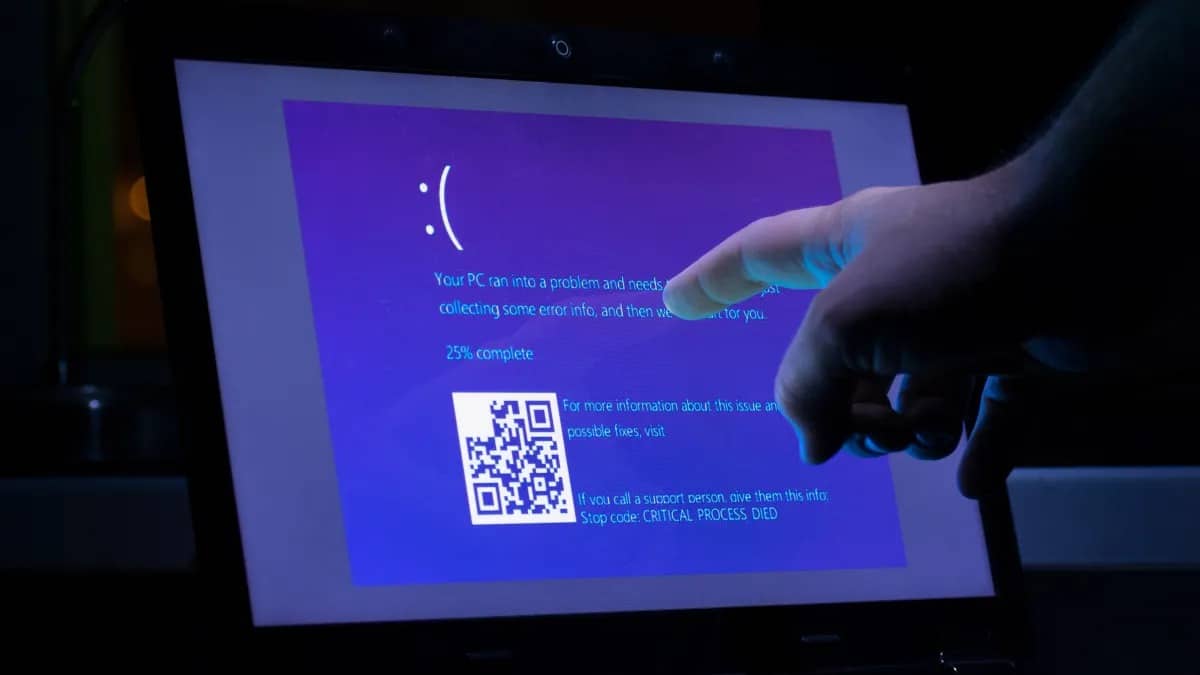 Windows 11